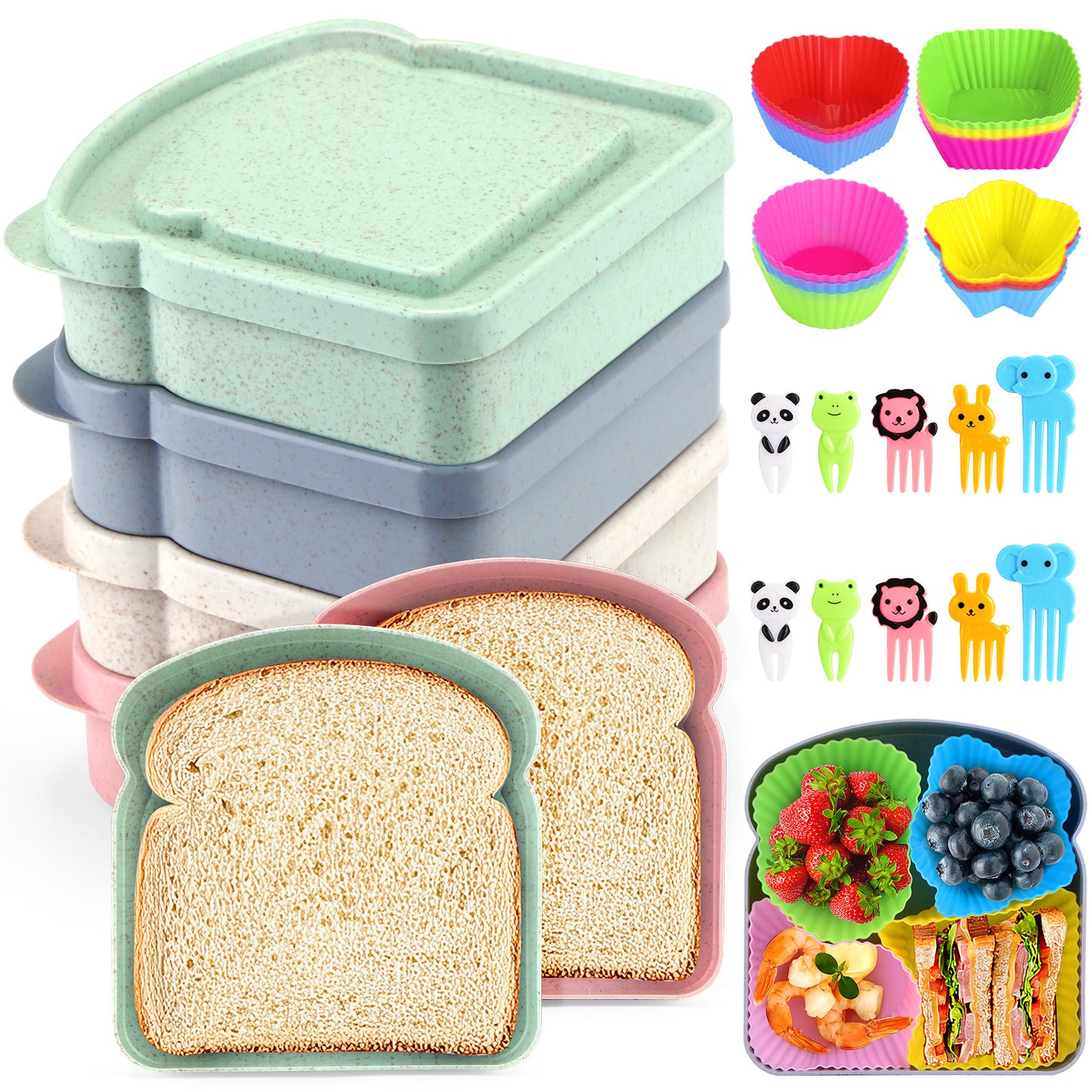 Sandwich Containers