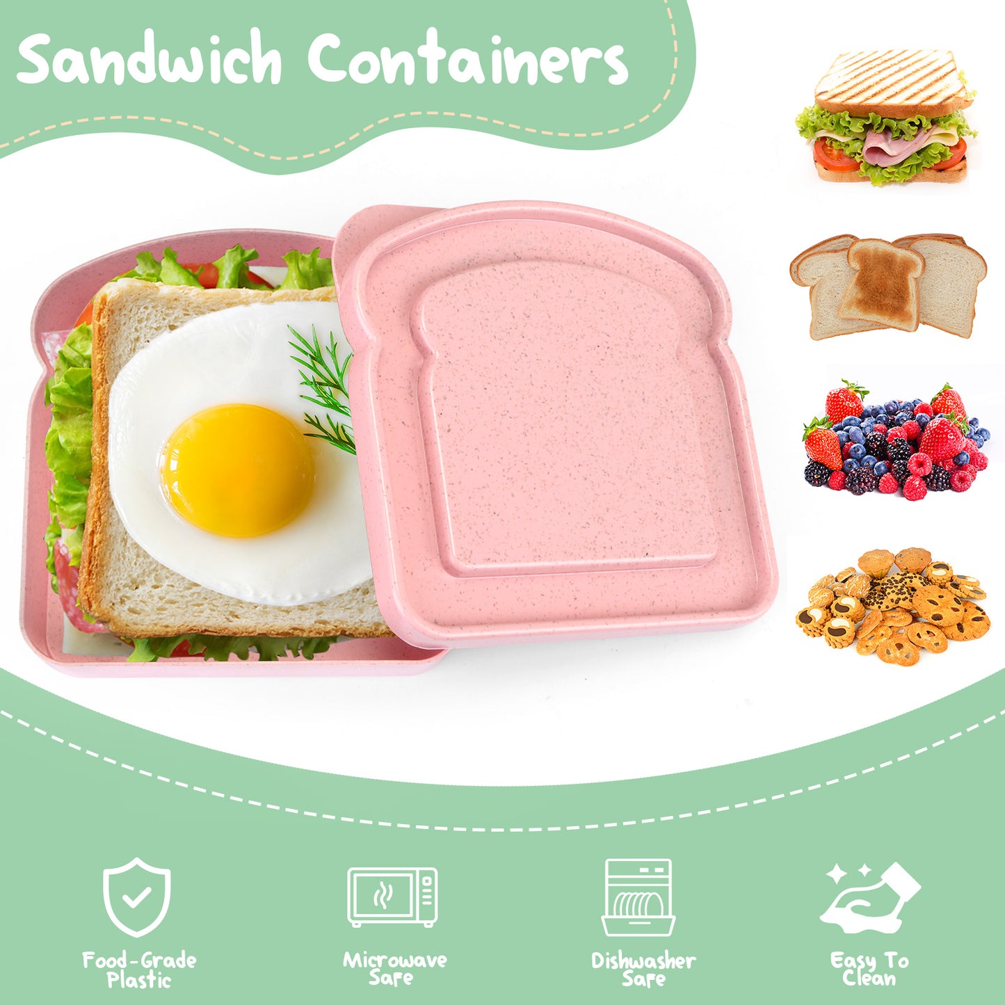 Sandwich Containers